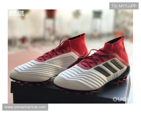 足球ag官网最新消息全面解析，助你第一时间掌握赛事动态与官方公告